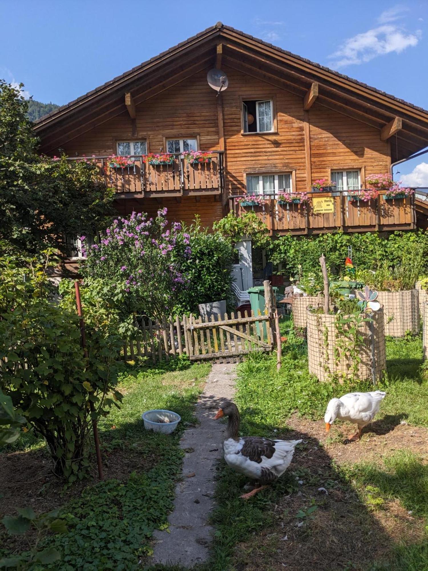 Bed And Breakfast - Die Aelplersuit Fuer Backpackers Im Berghuesli Linthal מראה חיצוני תמונה